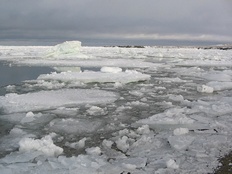 Фото сайта http://krasnoyarsk.rgo.ru: &laquo;Море Лаптевых, бухта Мод&raquo;. 